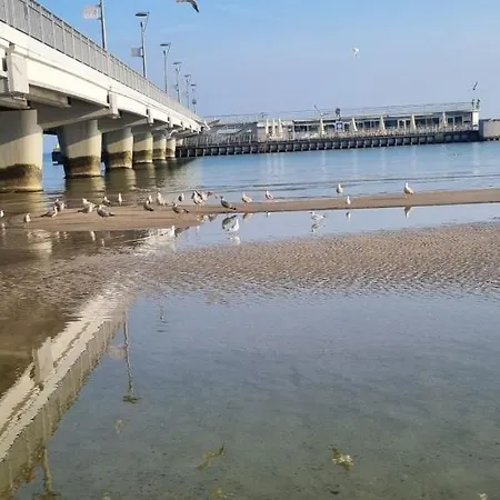 Apartment Centrum Portu